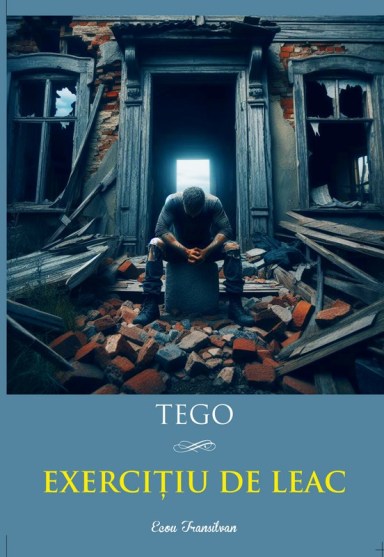 TEGO-Exercitiu de leac